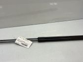 Tailgate/trunk strut/damper