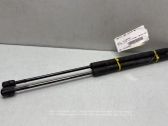 Tailgate/trunk strut/damper