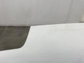 Engine bonnet/hood