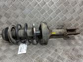 Amortiguador delantero con muelle espiral