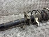 Front shock absorber with coil spring