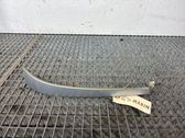 Under headlight/headlamp trim