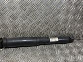 Rear shock absorber/damper
