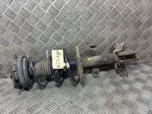 Front shock absorber with coil spring