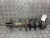 Front shock absorber with coil spring