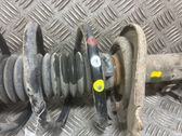 Front shock absorber with coil spring