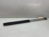 Tailgate/trunk strut/damper