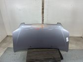 Engine bonnet/hood