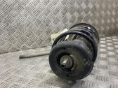 Front shock absorber with coil spring
