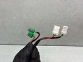 Tailgate/trunk strut/damper
