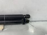 Tailgate/trunk strut/damper