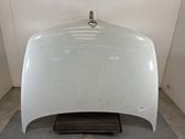 Engine bonnet/hood