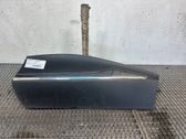 Listón embellecedor de la puerta delantera (moldura)