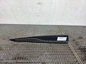 Listón embellecedor de la puerta delantera (moldura)