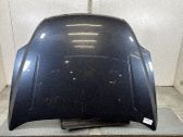 Motorhaube