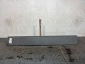 Listón embellecedor de la puerta delantera (moldura)