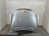 Motorhaube