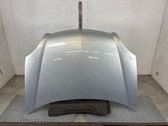 Motorhaube