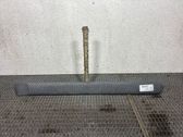 Front door trim (molding)