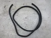 Front door rubber seal