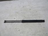 Tailgate strut