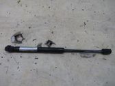 Front bonnet/hood damper/strut