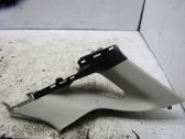 Other sill/pillar trim element