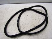 Rear door rubber seal (on body)