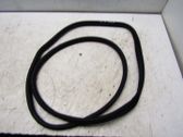 Rear door rubber seal (on body)