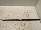 Front door trim (molding)