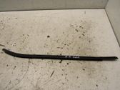 Rear door glass trim molding