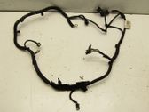 Other wiring loom