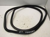 Front door rubber seal