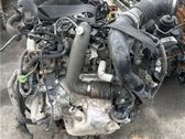 Culata del motor
