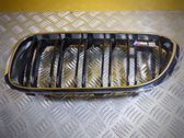 Front bumper upper radiator grill