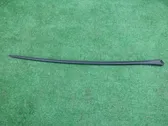 Windshield trim