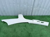 (D)pillar trim (top)