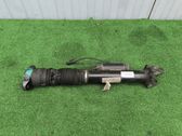 Rear shock absorber/damper