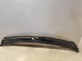 Wiper trim