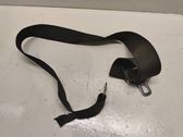 Middle seatbelt buckle (rear)