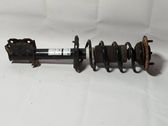 Front shock absorber with coil spring