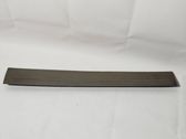 Front sill trim cover