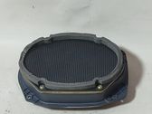 Rear door speaker