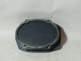 Rear door speaker