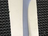 Other front door trim element