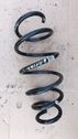 Front coil spring