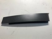 Rear door glass trim molding
