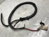 Positive cable (battery)