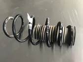 Front coil spring