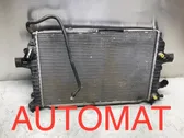 Air conditioning (A/C) radiator (interior)